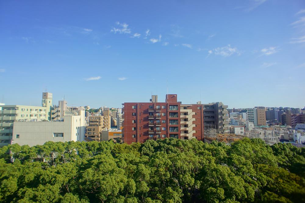 View photos from the dwelling unit. View from the balcony (December 2013) Shooting