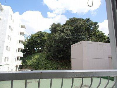 View photos from the dwelling unit