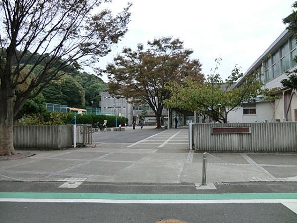 Primary school. Mammon 300m up to elementary school