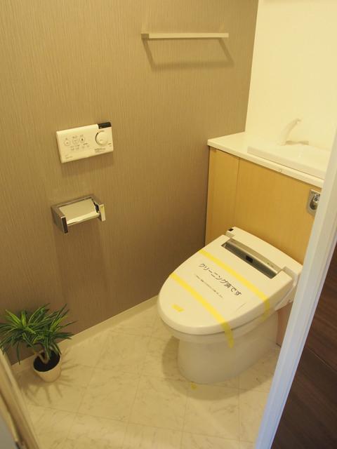 Wash basin, toilet