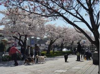 park. 762m until the new Honmoku park