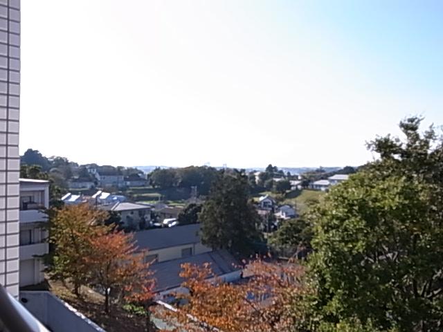 View photos from the dwelling unit