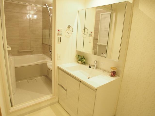 Wash basin, toilet
