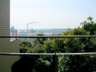 View photos from the dwelling unit. View from the balcony