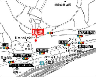 Local guide map