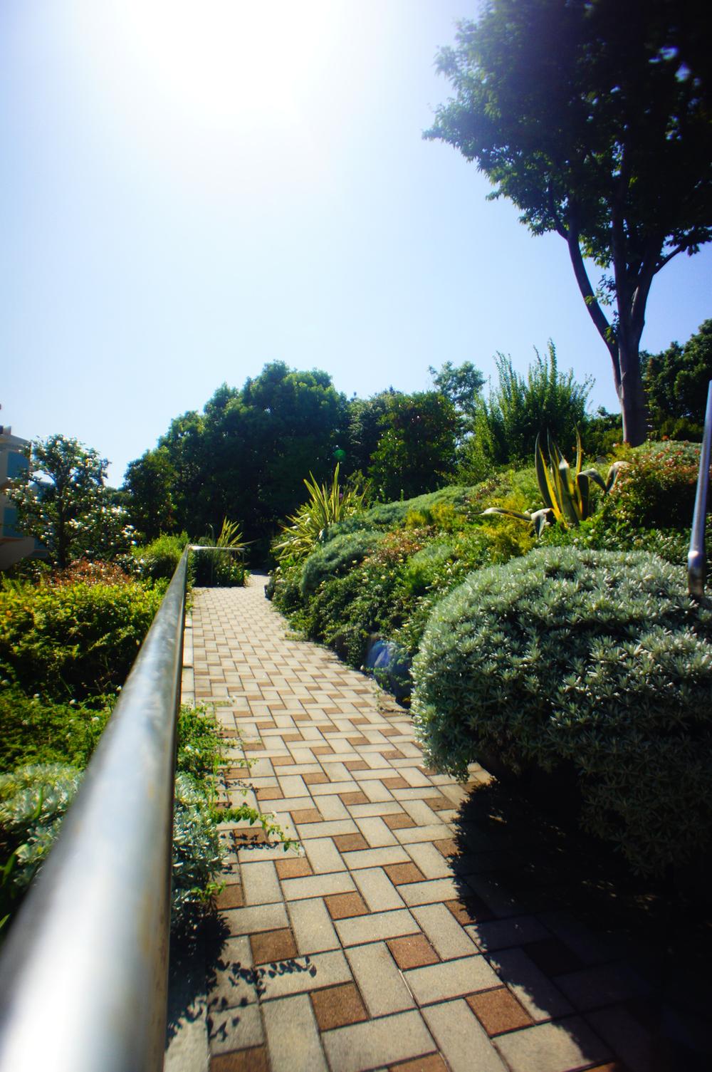 Other common areas. Slope to the courtyard (September 2013) Shooting