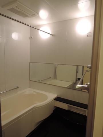 Bathroom. Bathroom handrail Yes!