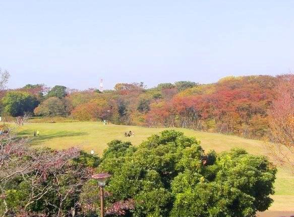 Other. park