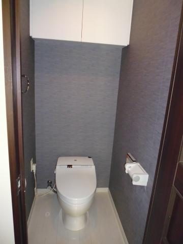 Toilet. Bidet with a tankless toilet