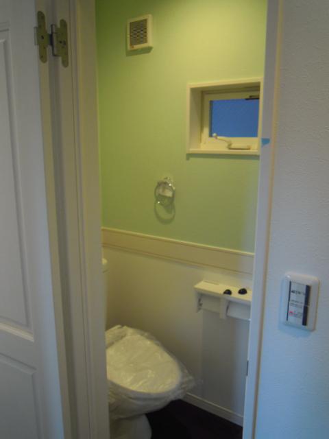 Toilet. Indoor (11 May 2013) Shooting