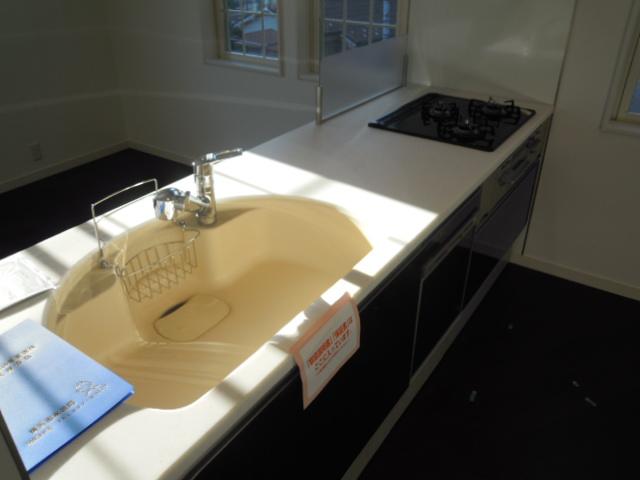 Kitchen. Indoor (11 May 2013) Shooting