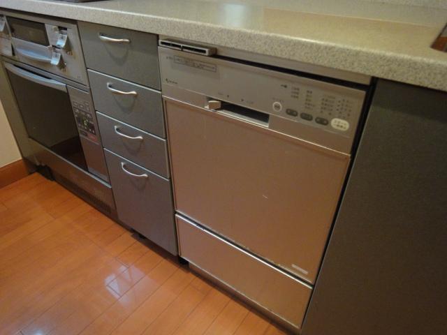Kitchen. Dishwasher kitchen (September 2013) Shooting