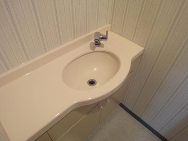 Toilet. Toilet with hand washing (September 2013) Shooting