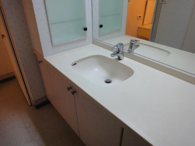 Wash basin, toilet. Indoor (September 2013) Shooting