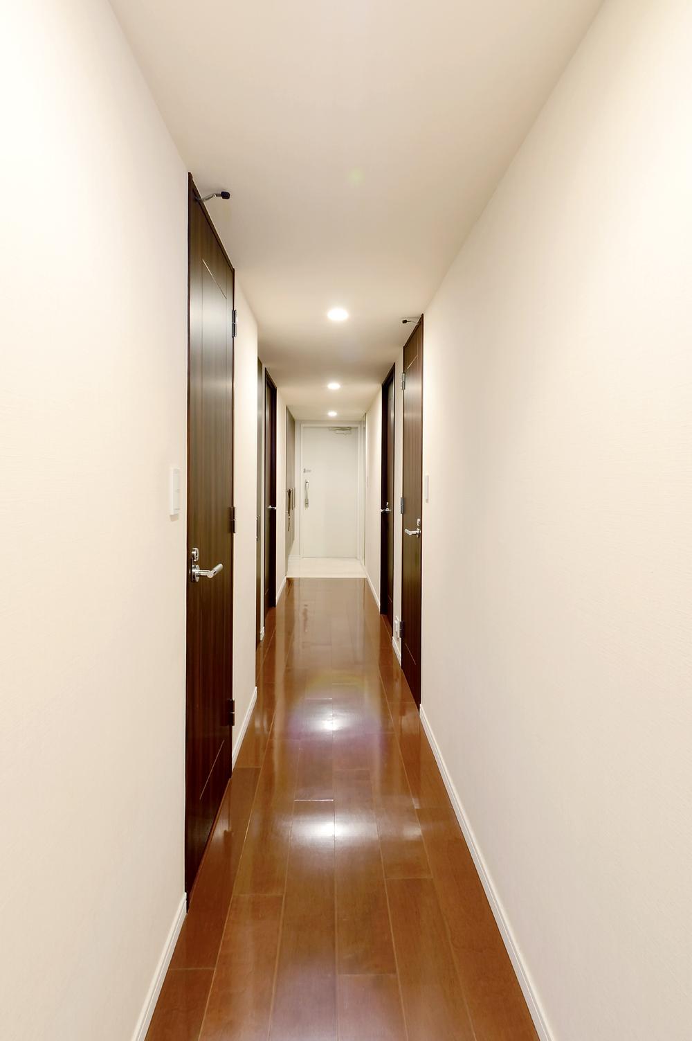 Entrance. Corridor