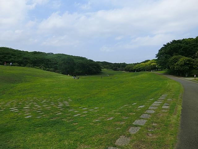 park. This transition can enjoy park of 300m four seasons to Negishi Forest Park. Very crowded you can enjoy cherry blossoms in spring. How in holiday stroll course?