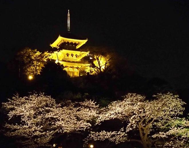 Other Environmental Photo. 2600m to Sankei Garden