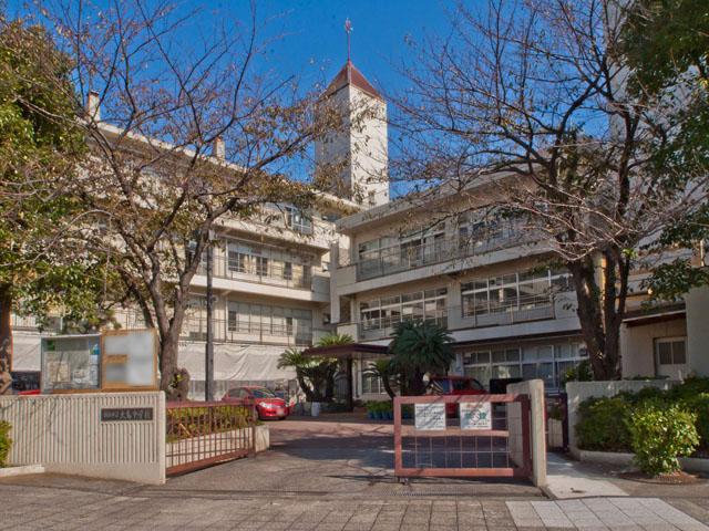 Junior high school. Yokohamashiritsudai bird until junior high school 533m