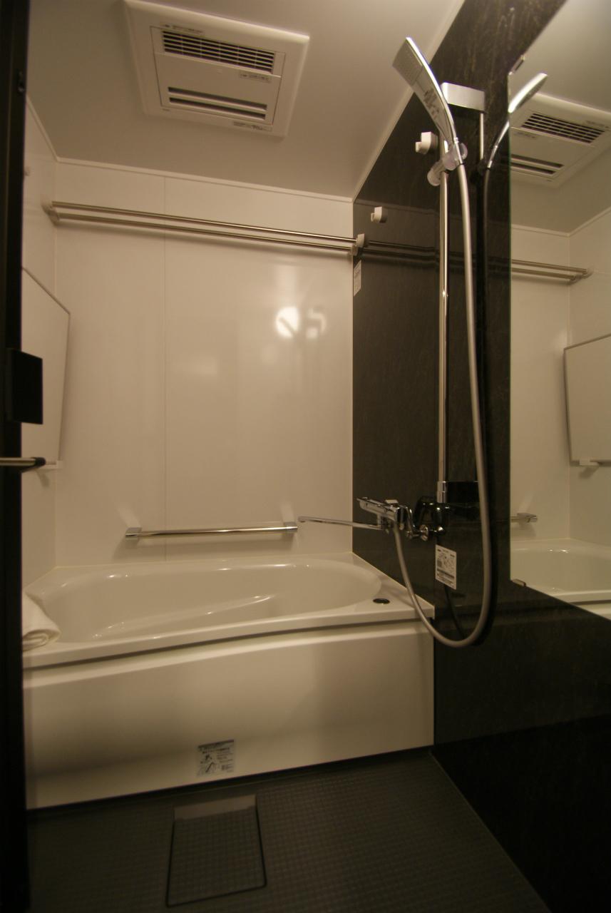 Bathroom. Indoor (11 May 2013) Shooting