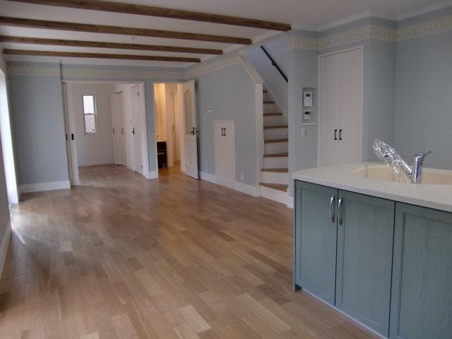 Living. Room (August 2013) Shooting