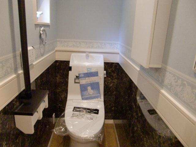 Toilet. Room (August 2013) Shooting