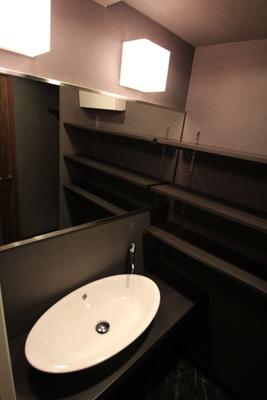 Wash basin, toilet. Bathroom vanity