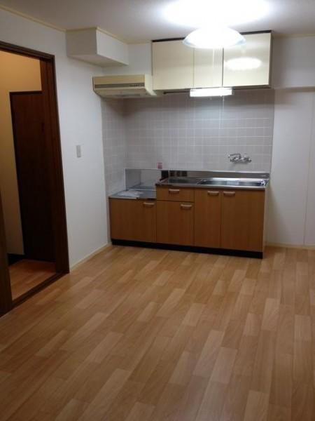 Kitchen. Kitchen new replacement