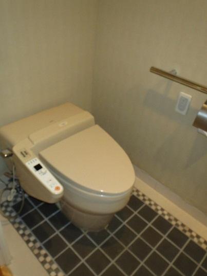 Toilet. Indoor (10 May 2013) Shooting