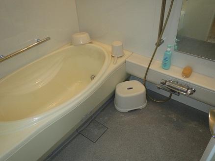 Bathroom. Indoor (10 May 2013) Shooting