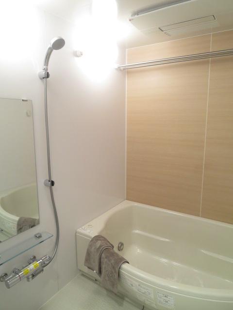 Bathroom. Indoor (12 May 2013) Shooting