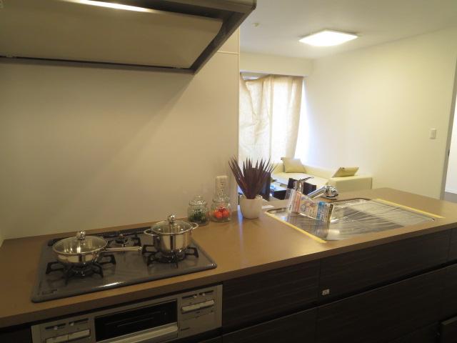 Kitchen. Indoor (12 May 2013) Shooting