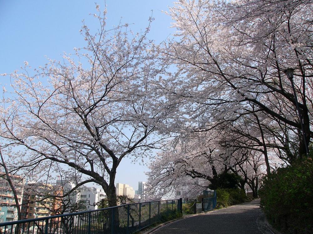 park. Good green rich park of 1100m view to Kamon mountain park. There is also a play equipment for children to play cheerfully