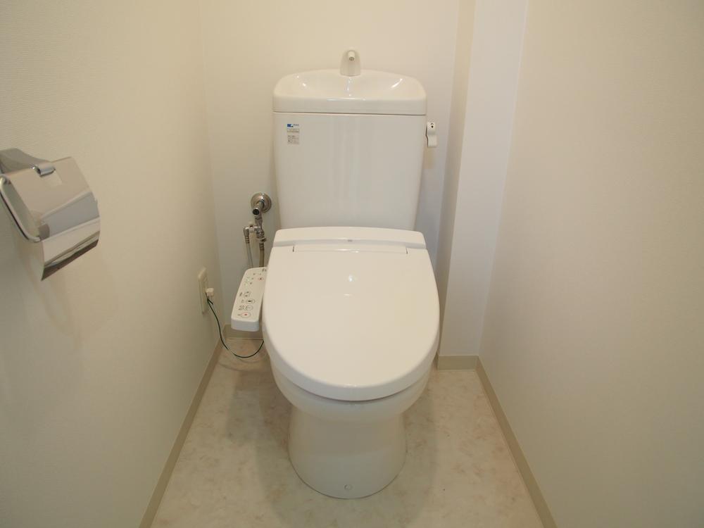 Toilet. Indoor (January 2014) Shooting