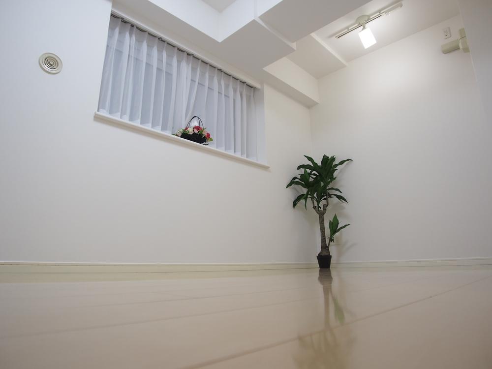 Non-living room. Indoor (January 2014) Shooting
