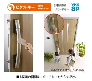 Other. Entrance door