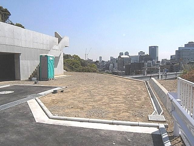 Local photos, including front road