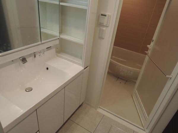 Wash basin, toilet. Interior