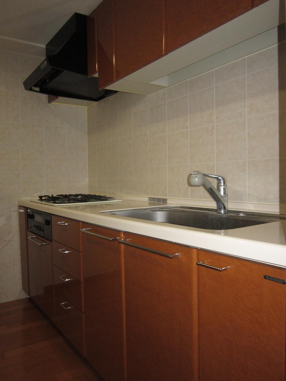 Kitchen. Indoor (July 2013) Shooting