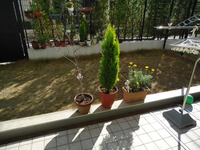 Garden. 2013 December shooting (furniture, etc. are not included in the sale price)