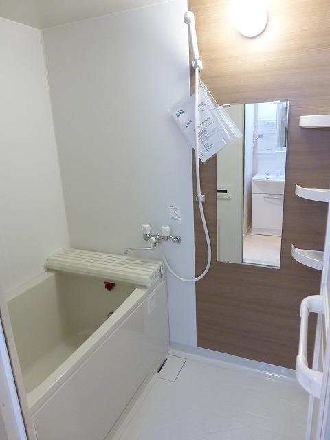 Bathroom. Indoor (October 28, 2013) Shooting