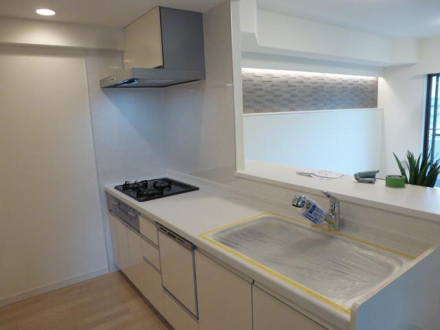 Kitchen. Indoor (10 May 2013) Shooting