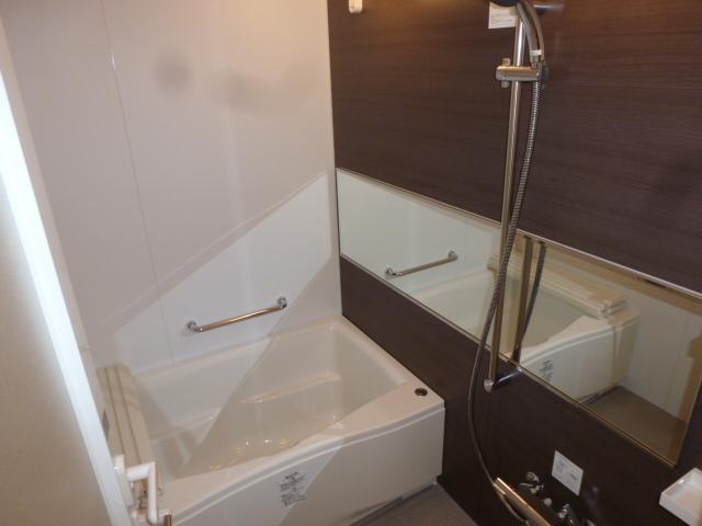 Bathroom. Indoor (10 May 2013) Shooting