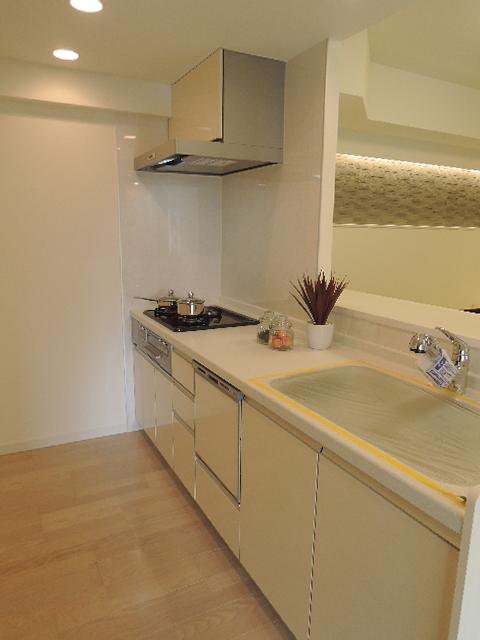 Kitchen. Counter Kitchen