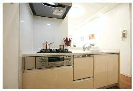 Kitchen. Renovation