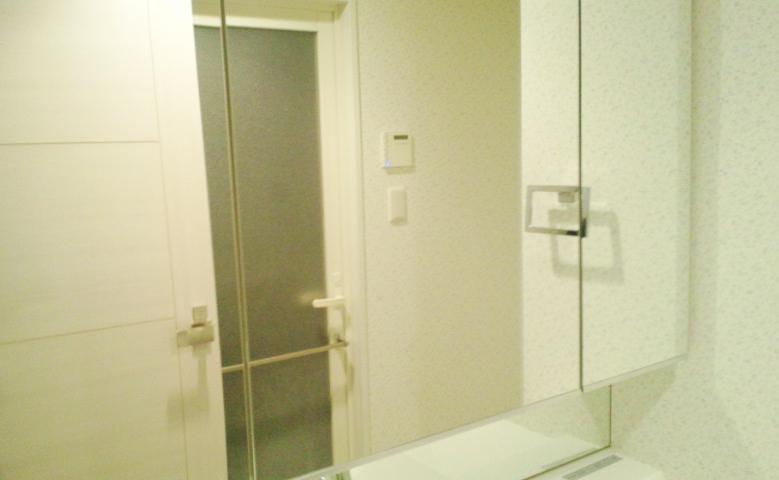 Wash basin, toilet. Wash room (November 2013) Shooting