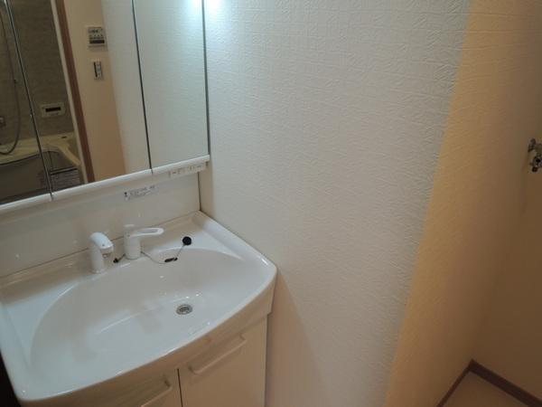 Wash basin, toilet. Interior