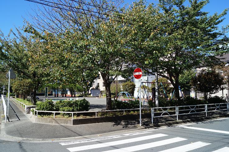 Other. Neighborhood park