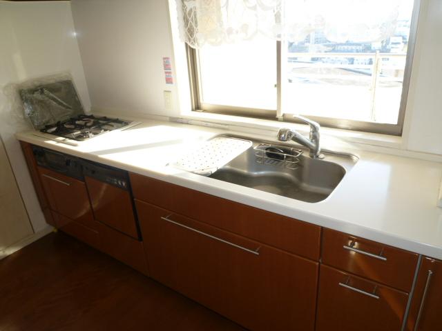 Kitchen. disposer, With dish washing washing machine