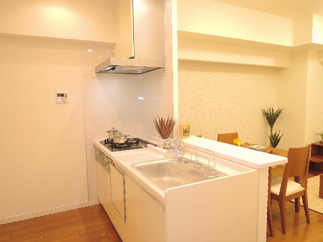 Kitchen. Face-to-face kitchen