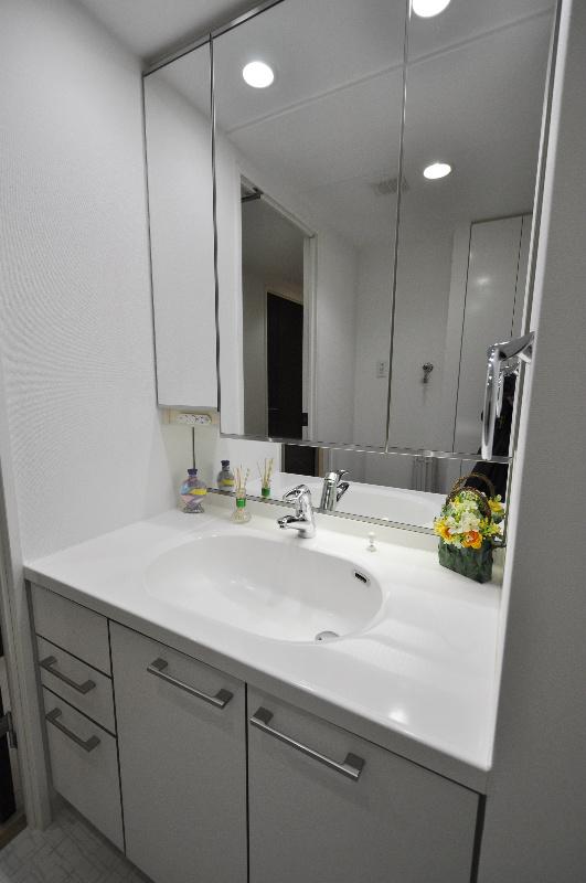 Wash basin, toilet. Washbasin with shower